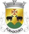 Brasão de armas de Furadouro