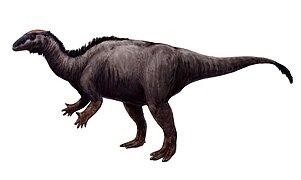 Camptosaurus