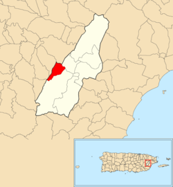 Location of Ceiba within the municipality of Las Piedras shown in red