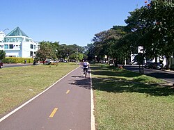 Canteiro central da Avenida Atílio Martini, uma das principais vias do distrito.