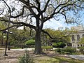 Municipal Auditorium and Congo Square