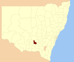 Contea di Coolamon – Mappa