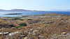 The ruins of Delos, location of the treasury of the Delian League until 454 BC