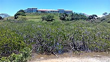 Le site de la DTSI à Ouémo, environné de mangroves.