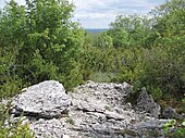 Dolmen de Peyro Lebado