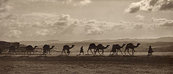 Caravana de camelos de carga passando pelo Monte das Oliveiras, 1918. (definição 1 280 × 547)