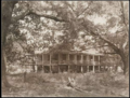 Elmwood Plantation, Robert W. Tebbs, 1926