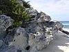 Eolionite in Long Island, Bahamas