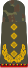 General (retired)