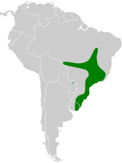 Distribución geográfica de la viudita copetona.