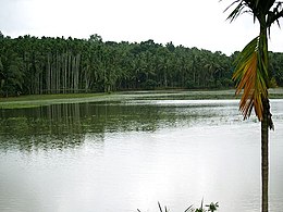 Manjeri – Veduta