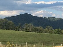 meadow with a tree-covered mountain in the background