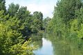 Il fiume prima di San Zenone al Po