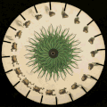 A circular disk with multiple slightly alternating images of a frog leaping which when you swirl the disk the frog appears to move.