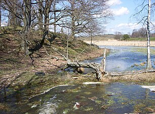 Söderån i Orlångens naturreservat