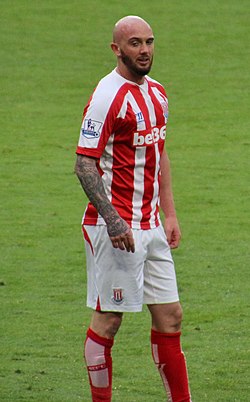 Stephen Ireland 2015