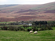 sheep pasture with distant mountainous brown moorland