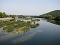 Hrvatska Kostajnica'da Una Nehri