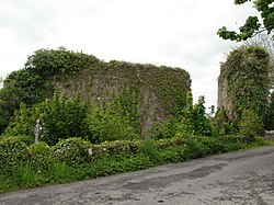 Ruine des Klosters