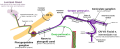 Depicts nerve branches that are involved in the autonomic innervation of the lacrimal gland. The terminal parts of the pathway are variable between individuals and differ for the other glands of the deep face.