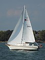 Bayfield 25