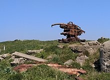 Photographie en couleur montrant un canon rouillé, à la pointe tordue vers le bas ; autour, des blocs de béton et de ferraille au milieu de la végétation.