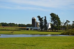 Farmstead on Carter Road