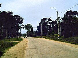 Calle Pérez Butler in El Pinar