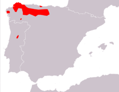 Distribución de Iberolacerta monticola.