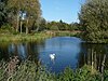 Lollycocks Pond, Lollycocks Field