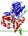 Monoamine oxidase A