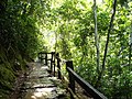 Guatopo National Park, Guárico State