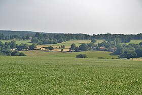 Image illustrative de l’article Charente limousine