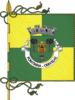 Flag of Pontinha