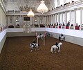 Image 3Austria is known for its Lipizzaner horses at Vienna's Spanish Riding School. (from Culture of Austria)