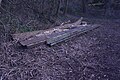 Tram track in Manor Farm Park (formerly Northfield Manor House grounds), Selly Oak.