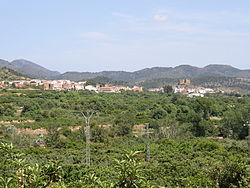 View of Castellnovo.