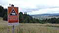 Balisage du sentier de la randonnée de longue distance Via Transilvanica, avec un avertissement sur l'éventuelle présence des ours.