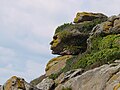 Pareidolia of a face in a rock