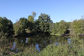 Sa confluence avec la Sèvre.