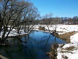 Bezhin Meadow, Chernsky District