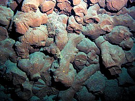 Basalte en pillow-lavas dans la caldeira sommitale du volcan.