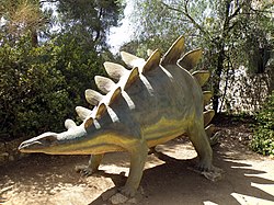 סטגוזאורוס במוזיאון הטבע בירושלים