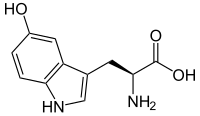 Image illustrative de l’article 5-Hydroxytryptophane