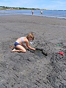 Beach, gulf of St Lawrence