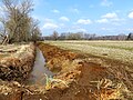 Abfluss aus dem Bruchteich bei Barmke