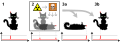 תמונה ממוזערת לגרסה מ־22:08, 28 בנובמבר 2011