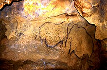 Photographie des peintures dans la grotte.