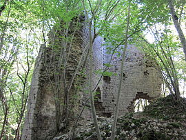 Chateau of Vaite