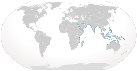 World map with blue coloring all around the periphery of the Indian Ocean from South Africa to northern Australia, and through Southeast Asia including the Philippines and New Guinea